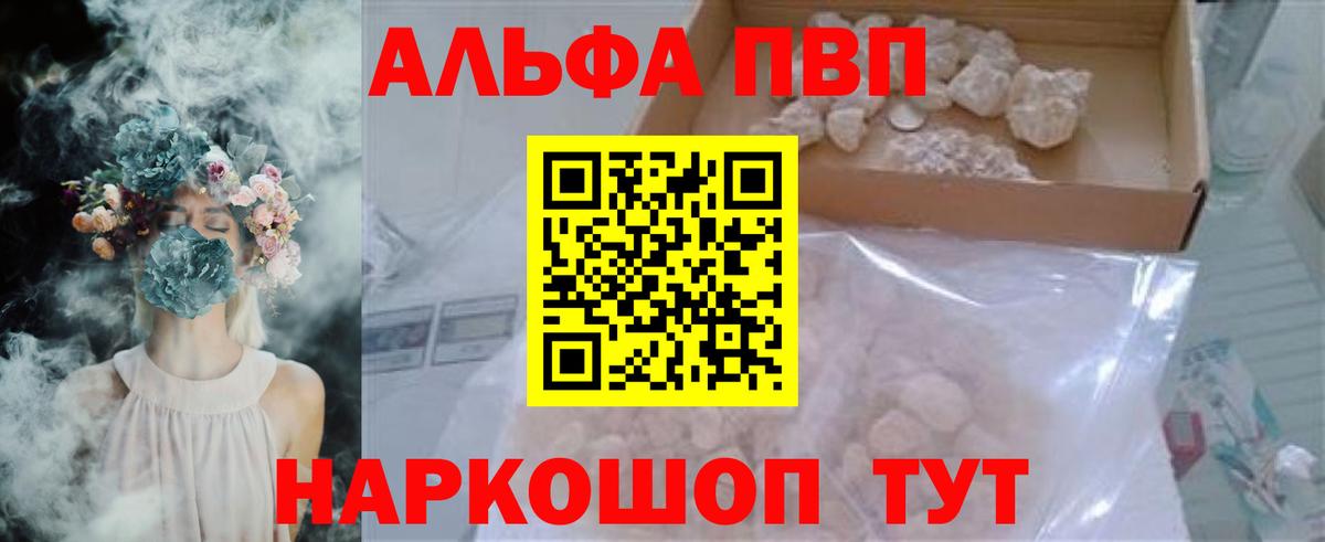 Alfa_PVP СК Сальск