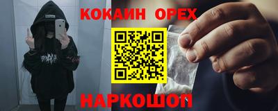 сатива Будённовск