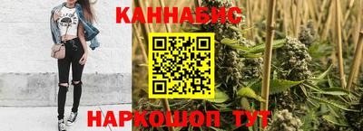 сатива Будённовск