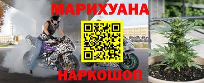 сатива Будённовск